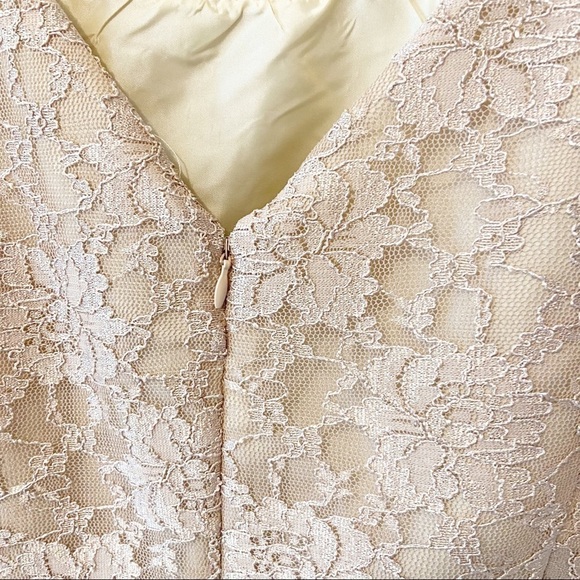 MELROSE | Champagne Lace Knee Length Formal Dress With Neck Embellishments 16 - Picture 7 of 14